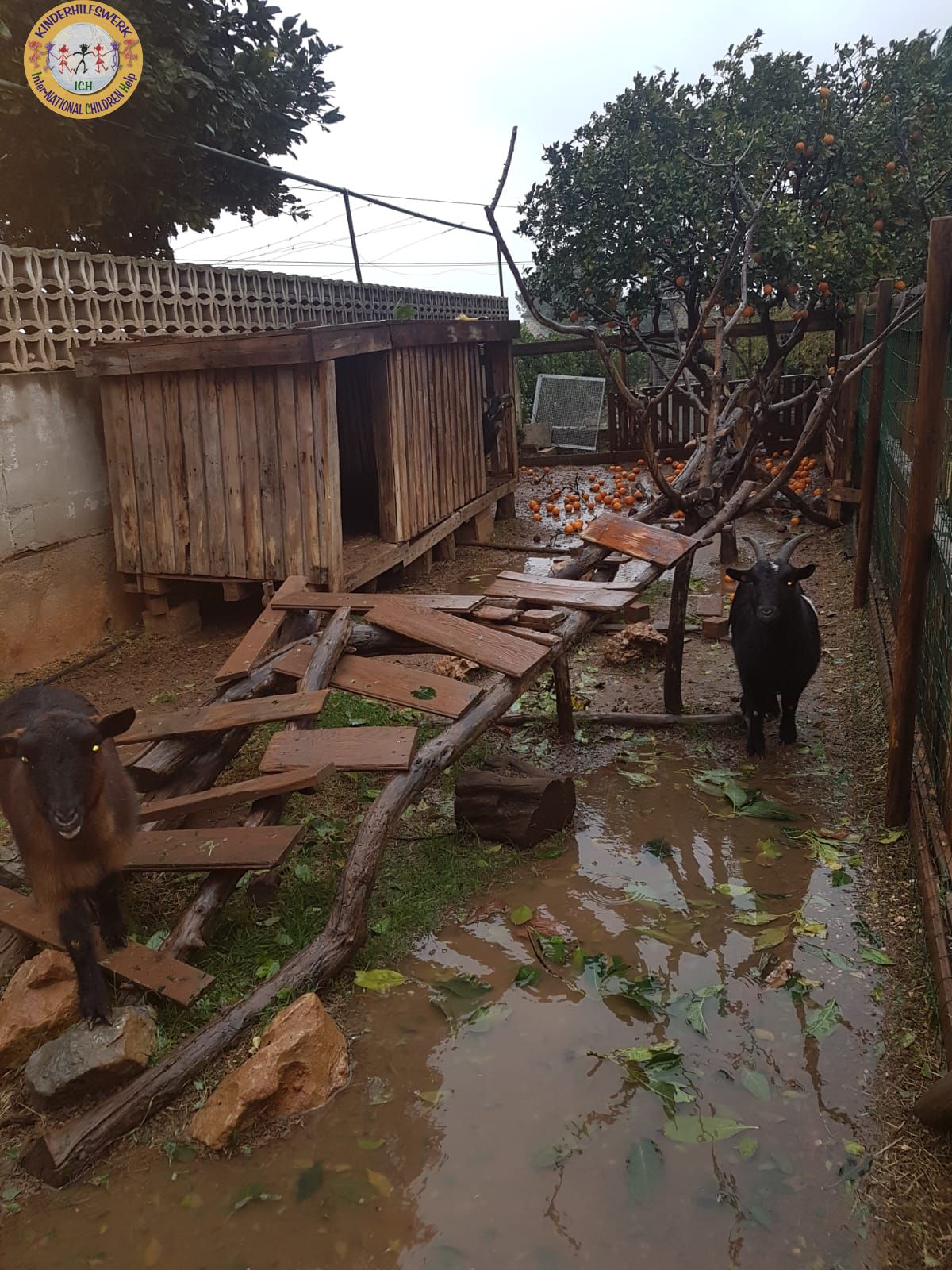 Schwere Unwetter verwüsteten auch Therapiehof Pequeno Rancho in Denia – Spanien